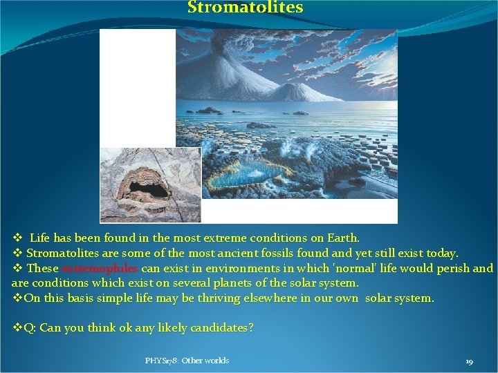 Stromatolites v Life has been found in the most extreme conditions on Earth. v Stromatolites v Life has been found in the most extreme conditions on Earth. v