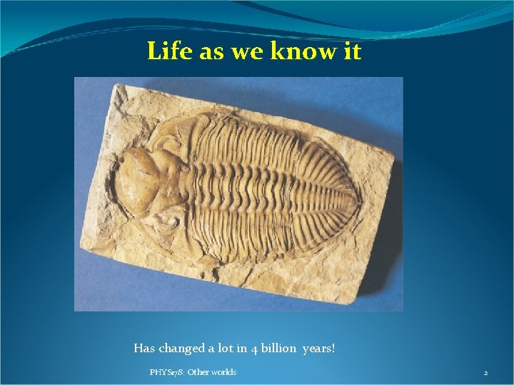 Life as we know it Has changed a lot in 4 billion years! PHYS Life as we know it Has changed a lot in 4 billion years! PHYS