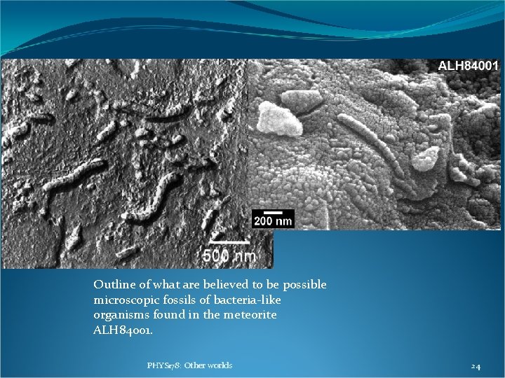 Outline of what are believed to be possible microscopic fossils of bacteria-like organisms found Outline of what are believed to be possible microscopic fossils of bacteria-like organisms found