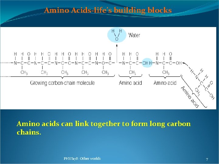 Amino Acids-life’s building blocks Amino acids can link together to form long carbon chains. Amino Acids-life’s building blocks Amino acids can link together to form long carbon chains.