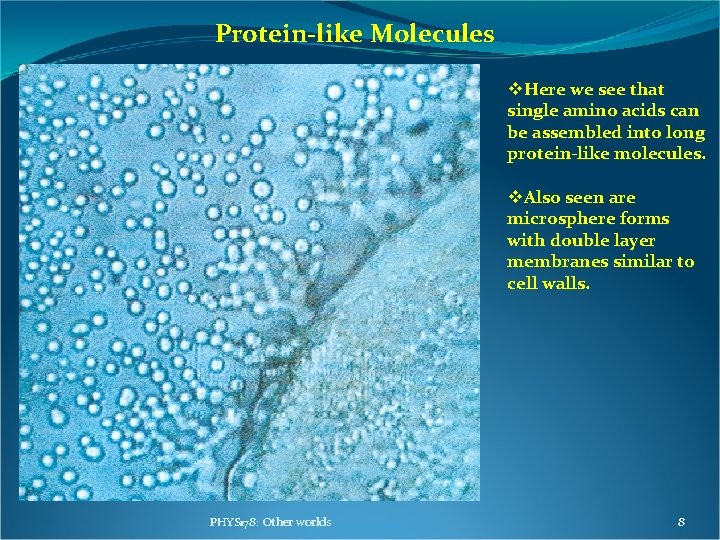 Protein-like Molecules v. Here we see that single amino acids can be assembled into Protein-like Molecules v. Here we see that single amino acids can be assembled into