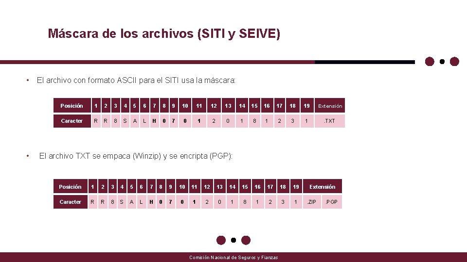 Máscara de los archivos (SITI y SEIVE) • • El archivo con formato ASCII Máscara de los archivos (SITI y SEIVE) • • El archivo con formato ASCII