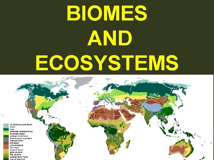 BIOMES AND ECOSYSTEMS 