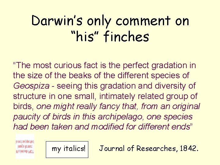 Darwin’s only comment on “his” finches “The most curious fact is the perfect gradation