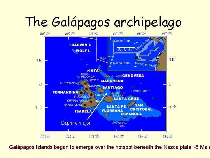 The Galápagos archipelago 1000 km Daphne major 100 km Galápagos Islands began to emerge