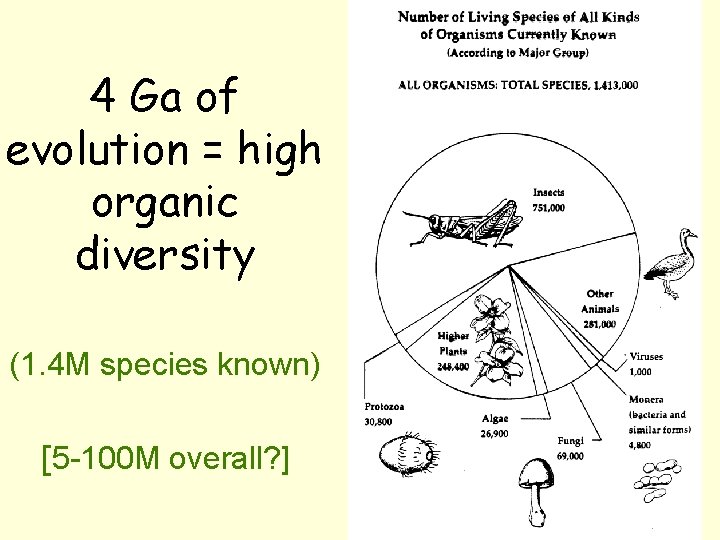 4 Ga of evolution = high organic diversity (1. 4 M species known) [5