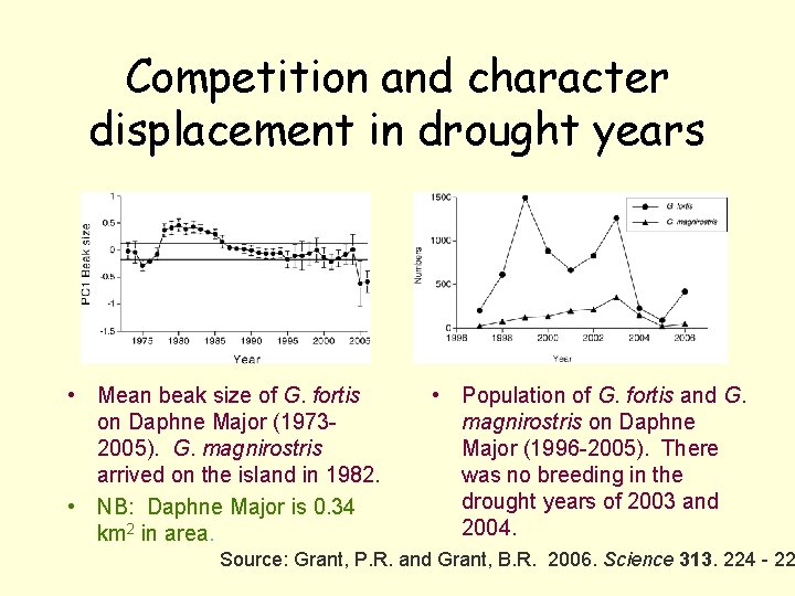 Competition and character displacement in drought years • Mean beak size of G. fortis