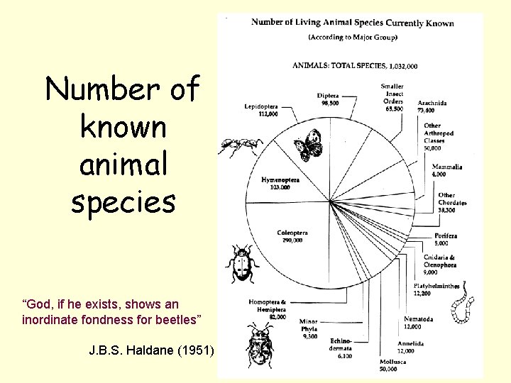 Number of known animal species “God, if he exists, shows an inordinate fondness for