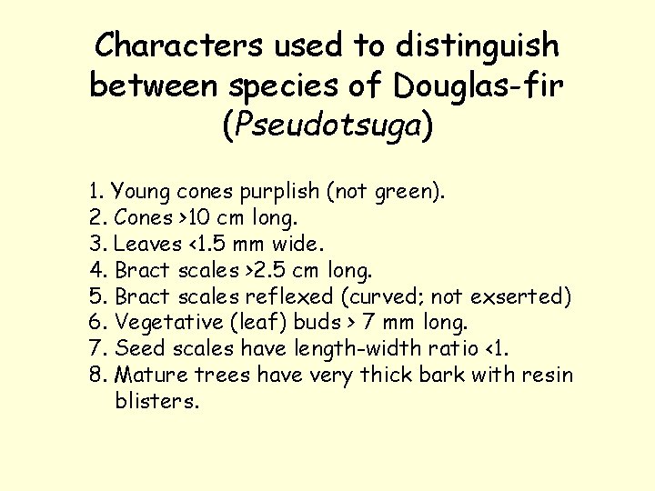 Characters used to distinguish between species of Douglas-fir (Pseudotsuga) 1. Young cones purplish (not