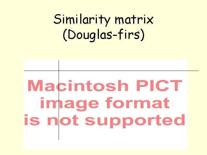 Similarity matrix (Douglas-firs) 