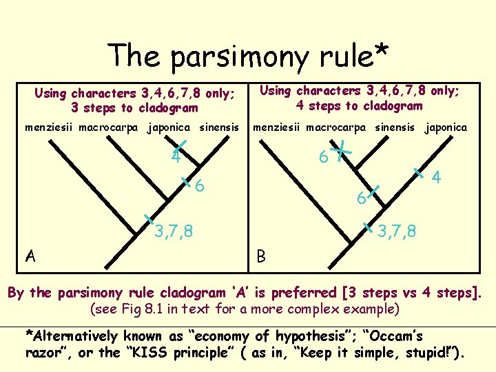 The parsimony rule* Using characters 3, 4, 6, 7, 8 only; 3 steps to