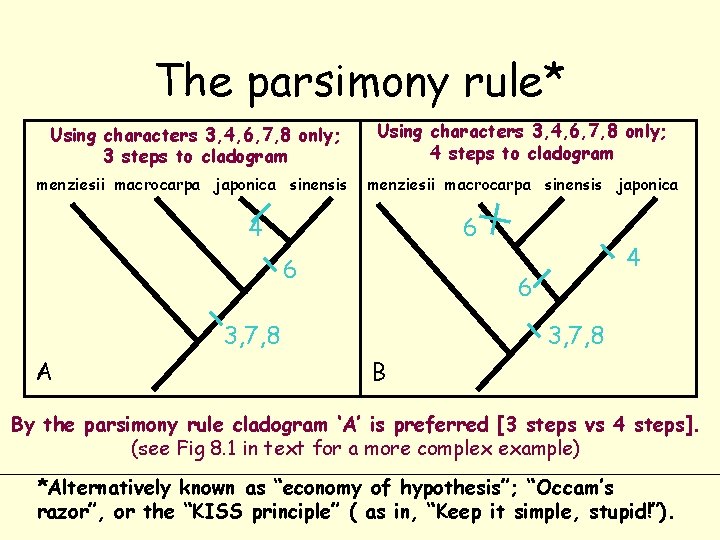 The parsimony rule* Using characters 3, 4, 6, 7, 8 only; 3 steps to