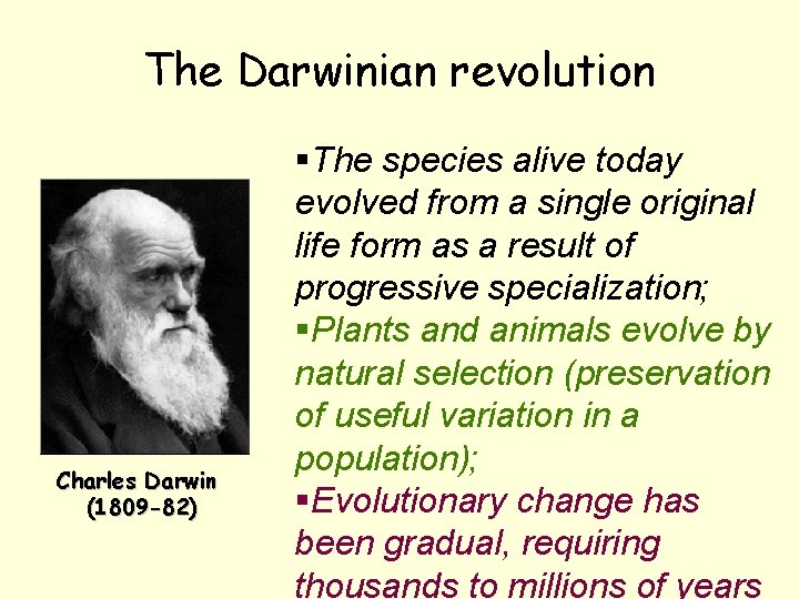 The Darwinian revolution Charles Darwin (1809 -82) §The species alive today evolved from a