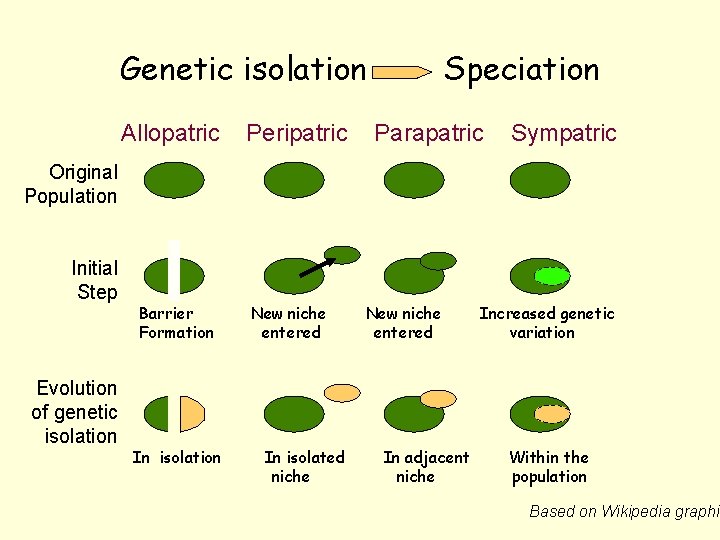 Genetic isolation Allopatric Peripatric Speciation Parapatric Sympatric Original Population Initial Step Evolution of genetic
