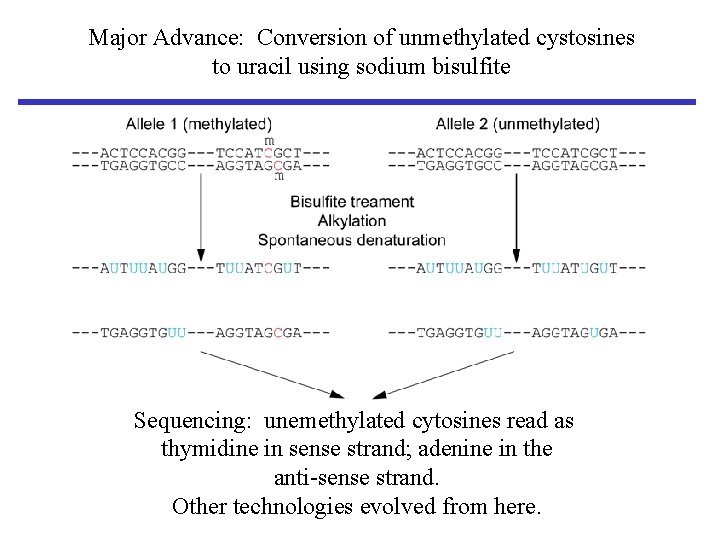 Major Advance: Conversion of unmethylated cystosines to uracil using sodium bisulfite Sequencing: unemethylated cytosines