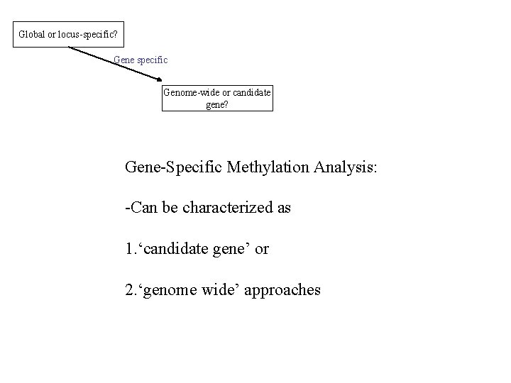 Global or locus-specific? Gene specific Genome-wide or candidate gene? Gene-Specific Methylation Analysis: -Can be