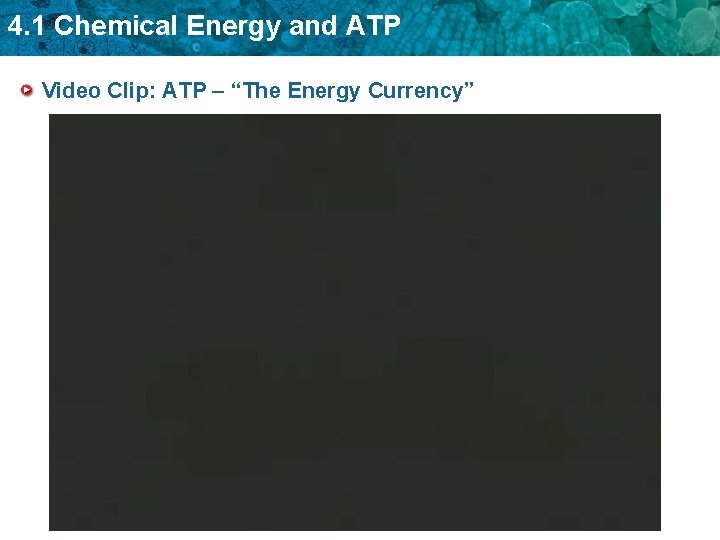 4. 1 Chemical Energy and ATP Video Clip: ATP – “The Energy Currency” 