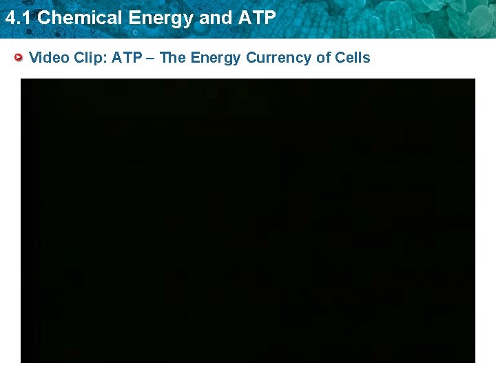 4. 1 Chemical Energy and ATP Video Clip: ATP – The Energy Currency of