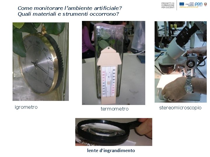 Come monitorare l’ambiente artificiale? Quali materiali e strumenti occorrono? igrometro termometro lente d’ingrandimento stereomicroscopio