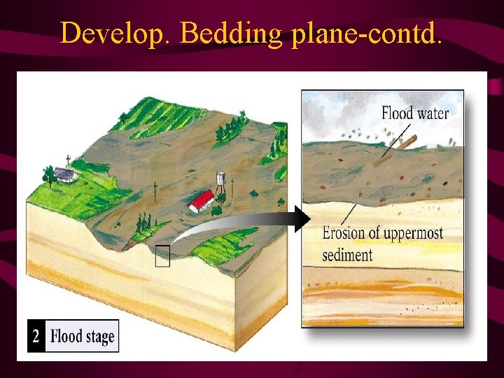 Develop. Bedding plane-contd. 