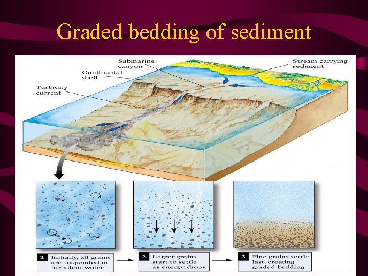 Graded bedding of sediment 