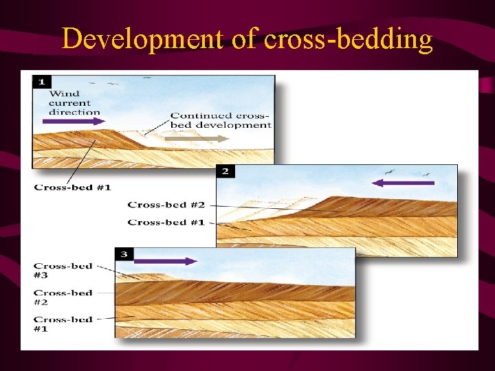 Development of cross-bedding 