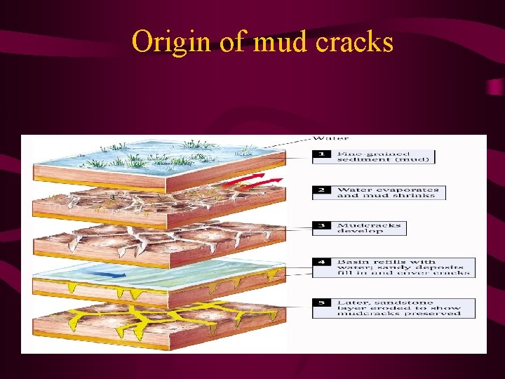 Origin of mud cracks 