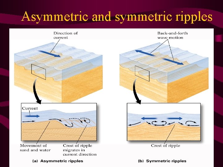 Asymmetric and symmetric ripples 