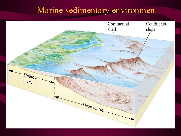 Marine sedimentary environment 