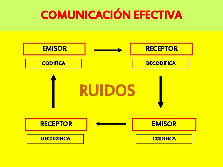 COMUNICACIÓN EFECTIVA EMISOR RECEPTOR CODIFICA DECODIFICA RUIDOS RECEPTOR EMISOR DECODIFICA 