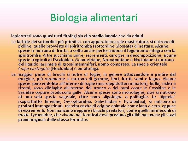 Biologia alimentari lepidotteri sono quasi tutti fitofagi sia allo stadio larvale che da adulti.