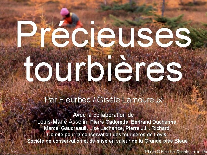 Précieuses tourbières Par Fleurbec / Gisèle Lamoureux Avec la collaboration de Louis-Marie Asselin, Pierre