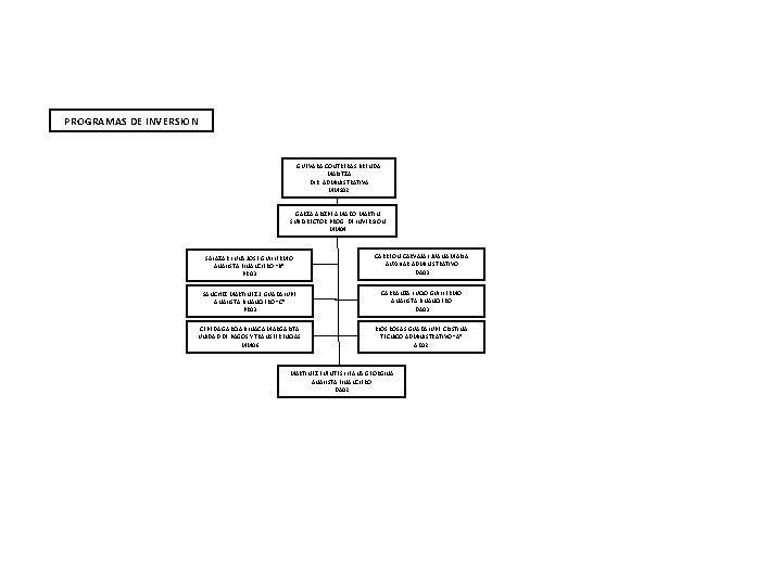 PROGRAMAS DE INVERSION GUEVARA CONTRERAS BRENDA MARITZA DIR. ADMINISTRATIVA MMS 02 GARZA ARIZPE AMADO