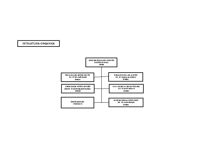 ESTRUCTURA ORGANICA CARDENAS ZAVALA JOSE ROBERTO DIRECTOR GENERAL MSS 00 DAVILA SALINAS NORMA VIOLETA