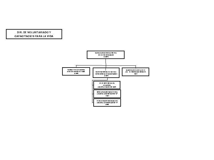 DIR. DE VOLUNTARIADO Y CAPACITACION PARA LA VIDA DAVILA SALINAS NORMA VIOLETA DIR. DE