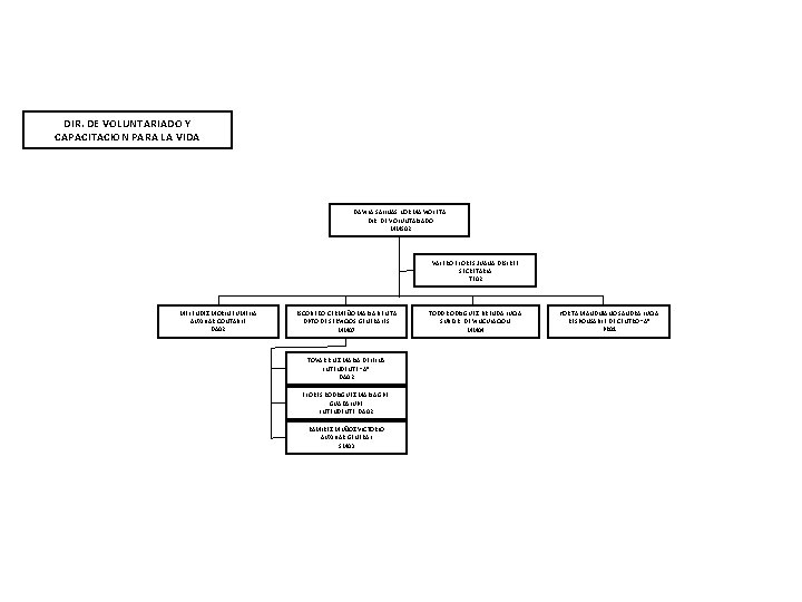 DIR. DE VOLUNTARIADO Y CAPACITACION PARA LA VIDA DAVILA SALINAS NORMA VIOLETA DIR. DE