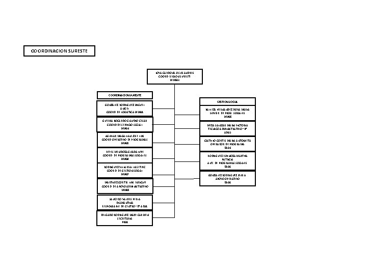 COORDINACION SURESTE LOYA CARDONA JESUS ANDRES COORD. REGION SURESTE MMS 02 COORDINACION SURESTE GONZALEZ