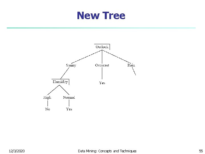 New Tree 12/3/2020 Data Mining: Concepts and Techniques 55 