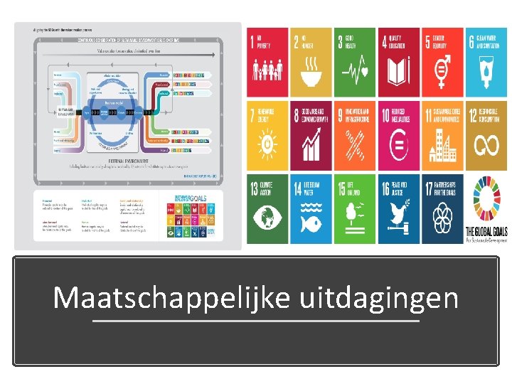 Maatschappelijke uitdagingen 