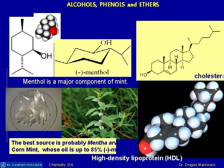 ALCOHOLS, PHENOLS and ETHERS cholestero Menthol is a major component of mint. The best