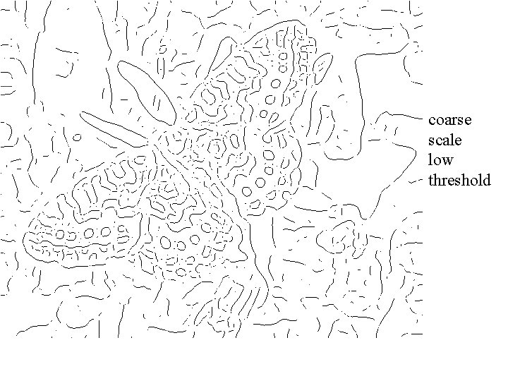 coarse scale low threshold 