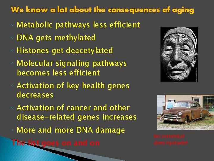 We know a lot about the consequences of aging ◦ Metabolic pathways less efficient