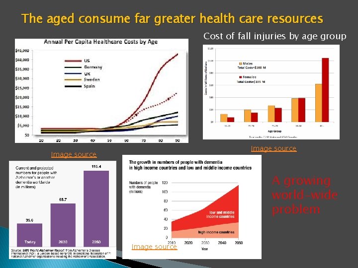 The aged consume far greater health care resources Cost of fall injuries by age