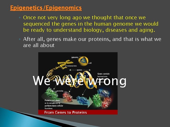 Epigenetics/Epigenomics ◦ Once not very long ago we thought that once we sequenced the