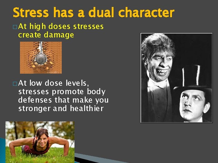 Stress has a dual character � At high doses stresses create damage � At Stress has a dual character � At high doses stresses create damage � At