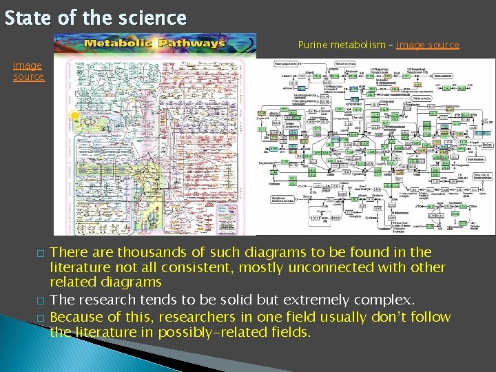 State of the science Purine metabolism – image source Image source � � �