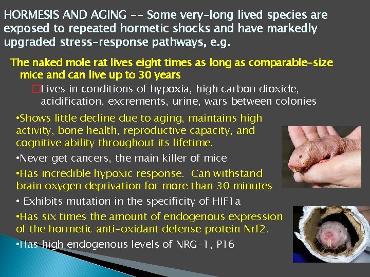 HORMESIS AND AGING -- Some very-long lived species are exposed to repeated hormetic shocks HORMESIS AND AGING -- Some very-long lived species are exposed to repeated hormetic shocks