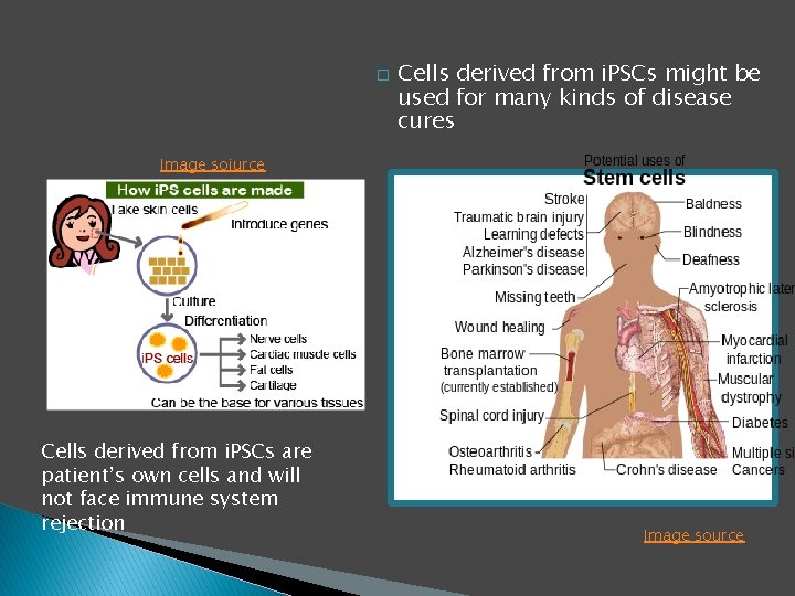 � Cells derived from i. PSCs might be used for many kinds of disease