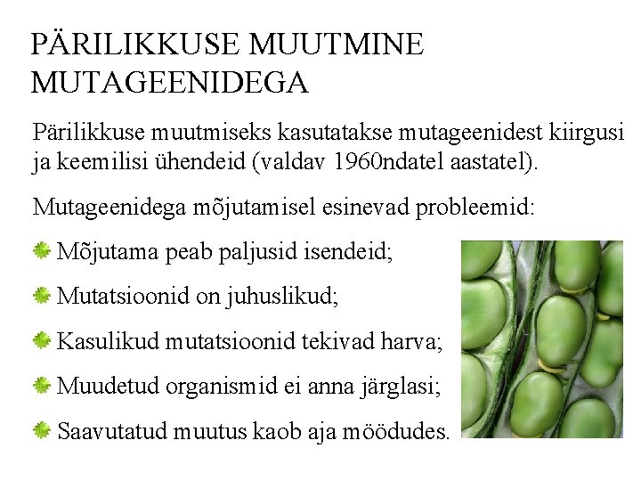 PÄRILIKKUSE MUUTMINE MUTAGEENIDEGA Pärilikkuse muutmiseks kasutatakse mutageenidest kiirgusi ja keemilisi ühendeid (valdav 1960 ndatel