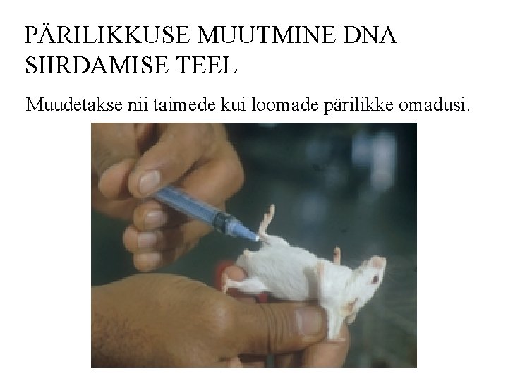 PÄRILIKKUSE MUUTMINE DNA SIIRDAMISE TEEL Muudetakse nii taimede kui loomade pärilikke omadusi. 